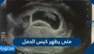 متى يظهر كيس الحمل في السونار البطني