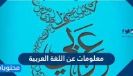 معلومات عن اللغة العربية مختصرة وأهميتها
