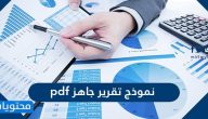 نموذج تقرير جاهز pdf