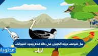 هل تتوقف دورة الكربون في حالة عدم وجود الحيوانات