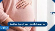 هل يحدث الحمل بعد الدورة مباشرة