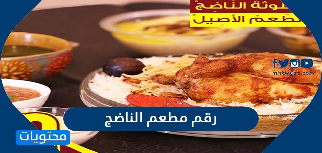 نص تيس مطاعم الربوة Maikop