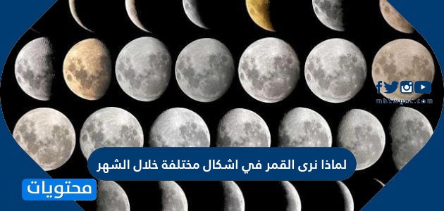 التربيع الأول يُشاهد من القمر معتمًا طور الأرض في عندما كما يكون يبدو أختار يبدو