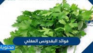 فوائد البقدونس المغلي