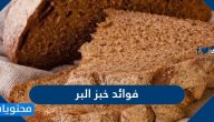 ما هي فوائد خبز البر