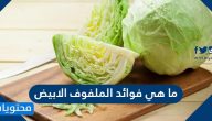 ما هي فوائد الملفوف الابيض