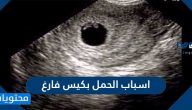 اسباب الحمل بكيس فارغ واعراضه وطرق تشخيصه وعلاجه