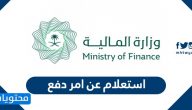 استعلام عن امر دفع بوزارة المالية الكترونيا 1444