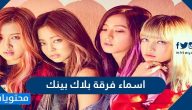 اسماء فرقة بلاك بينك