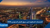 التخصصات المطلوبة في سوق العمل السعودي 2030