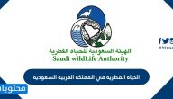 الحياة الفطرية في المملكة العربية السعودية