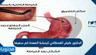 الدكتور عايض القحطاني كرمشة المعدة كم سعرها