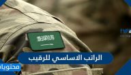 كم الراتب الاساسي للرقيب ولمختلف فئات الخدمة العسكرية في السعودية