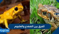 الفرق بين الضفدع والعلجوم