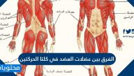 الفرق بين عضلات العضد في كلتا الحركتين