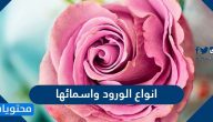 انواع الورود واسمائها بالعربي والانجليزي بالصور جميلة جدا