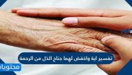تفسير اية واخفض لهما جناح الذل من الرحمة