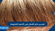 تفسير حلم القمل في الشعر للمتزوجة والحامل والعزباء