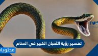 تفسير رؤية الثعبان الكبير في المنام لابن سيرين وابن شاهين والنابلسي