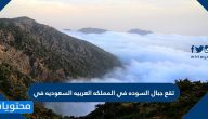 تقع جبال السوده في المملكه العربيه السعوديه في