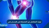 توجد المفاصل غير المتحركة في الإنسان في