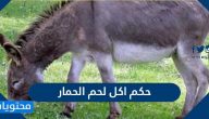 حكم اكل لحم الحمار