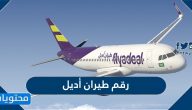 رقم طيران أديل المجاني وطرق التواصل مع شركة طيران اديل