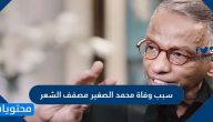 سبب وفاة محمد الصغير مصفف الشعر المصري الشهير