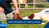 طريقة ذبح الخروف على الطريقة الاسلامية