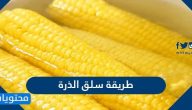طريقة سلق الذرة الصحيحة
