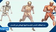 عدد الوظائف الخمس الرئيسية للجهاز الهيكلي
