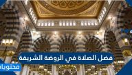 فضل الصلاة في الروضة الشريفة وما هي أهم معالم الروضة الشريفة