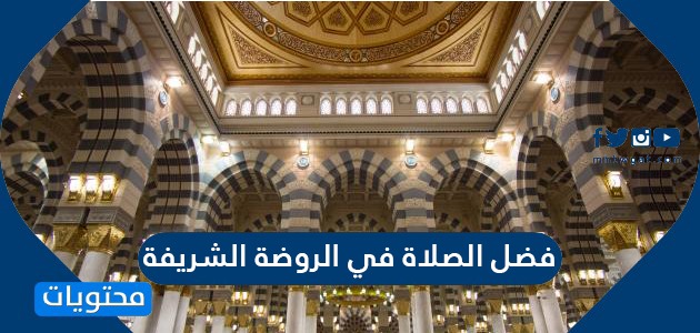 الروضة الشريفة زيارة شؤون المسجد
