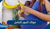 فوائد الموز للحامل في تقليل الغثيان ومحاربة فقر الدم وتقوية الجسم