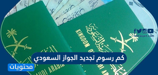 جواز شروط السفر تجديد كم يستغرق