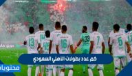 كم عدد بطولات الأهلي السعودي