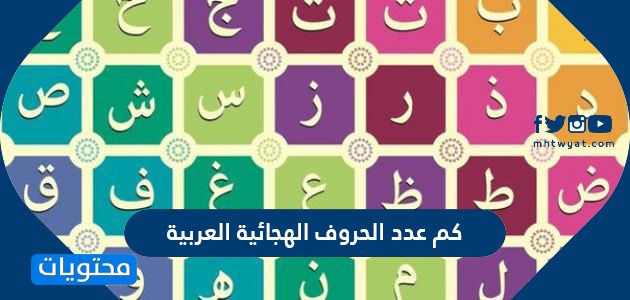 كم عدد الحروف الهجائية العربية