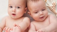 كيف احمل بتوأم بالطرق الطبيعية والصناعية