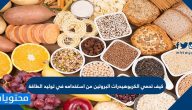 كيف تحمي الكربوهيدرات البروتين من استخدامه في توليد الطاقة