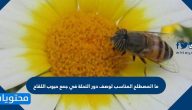 ما المصطلح المناسب لوصف دور النحلة في جمع حبوب اللقاح