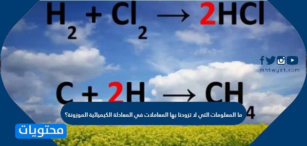 ما المعلومات التي لا تزودنا بها المعاملات في المعادلة الكيميائية الموزونة؟
