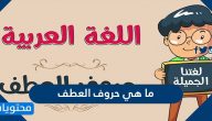 ما هي حروف العطف ومعانيها واعرابها