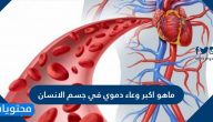 ماهو اكبر وعاء دموي في جسم الانسان