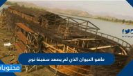 ماهو الحيوان الذي لم يصعد سفينة نوح