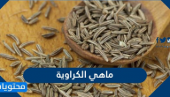 ماهي الكراوية ؟ وفوائدها المذهلة للصحة