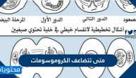 متى تتضاعف الكروموسومات