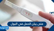 متى يبان الحمل في البول وأهم الأسباب لظهور نتيجة إيجابية أو سلبية خاطئة