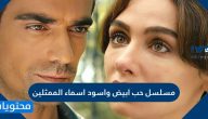 مسلسل حب ابيض واسود اسماء الممثلين