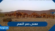 ما معنى حمر النعم