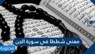 معنى شططا في سورة الجن